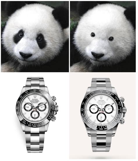 rolex animal collection|rolex daytona panda.